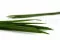 Konservierter Miscanthus 3