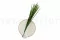 Preserved Miscanthus 2