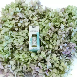 Perfume for Eternal Flowers - Nymphaea