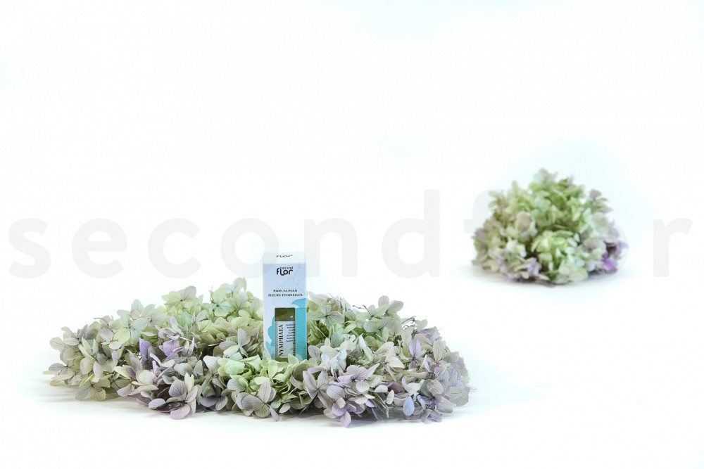Perfume para Flores Eternas - 1 Frasco - Nymphaea