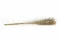 Getrockneter Monkey Tail (x10) 10