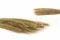 Monkey Tail essiccato (x10) 9