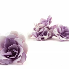 https://www.secondflor.com/24436-zen_home_default_square/gardenia-bicolore-stabilizzata-scatola-da-6-bianco-viola.webp