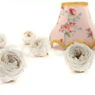 Rose Anglaise stabilis&eacute;e Blanc (x6)