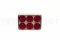 Preserved English Rose Red (x6) 8