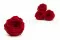 Rosa inglese stabilizzata Rosso (x6) 7