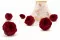 Rosa inglese stabilizzata Rosso (x6) 4