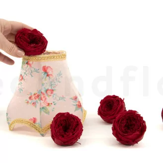 Preserved English Rose Red (x6)