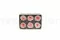 Rose Anglaise stabilis&eacute;e Blanc & Rose (x6) 7