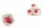 Rose Anglaise stabilis&eacute;e Blanc & Rose (x6) 6