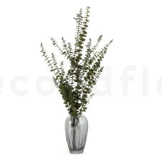 Preserved Baby Blue Eucalyptus Green