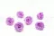 Rosa stabilizzata XL Lilla (x6) 3