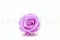 Preserved Rose XL Lilac (x6) 5