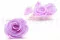 Rosa stabilizzata XL Lilla (x6) 7