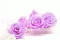 Rosa stabilizzata XL Lilla (x6) 8