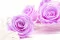 Rose stabilis&eacute;e XL Lilas (x6) 1