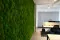 Musgo Bola preservado Nature Green (Caja) 8