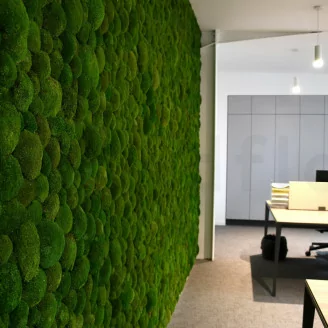 Muschio a Sfera stabilizzato Nature Green (Scatola)