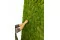 Preserved Ball Moss Light Green (Box) 5
