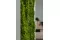 Mousse Longue stabilis&eacute;e (Bo&icirc;te) 11