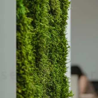 Mousse Longue stabilis&eacute;e (Bo&icirc;te)