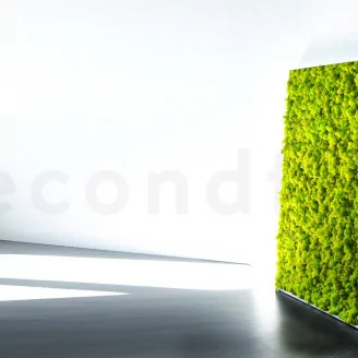 Lichene stabilizzato Lime Green (Cartone Sfuso)