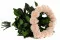 Rose stabilis&eacute;e XL Pink Blush - Vrac (x432) 7