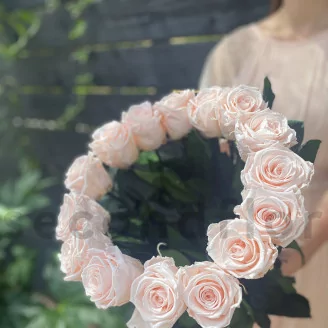 Konservierte Rose XL Pink Blush - Gro&szlig;packung (x432)