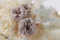 Rose Sauvage stabilis&eacute;e Gris (x12) 2
