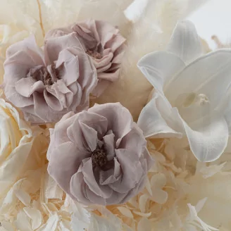 Rose Sauvage stabilis&eacute;e Gris (x12)