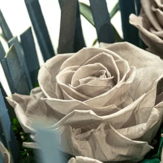 Konservierte Rose L Grau (x8)