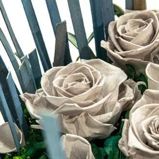 Preserved Rose L Grey (x8)