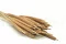 Dried Cattail Natural (x25) 5