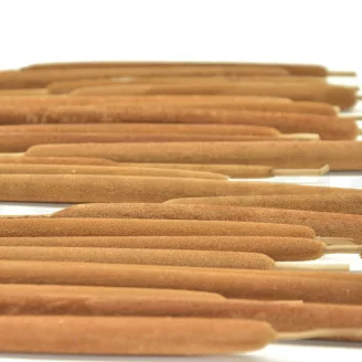 Dried Cattail Natural (x25)
