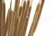 Canna essiccata Naturale (x25) 12