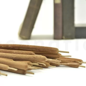 Dried Cattail Natural (x25)