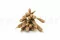 Enea seca fina Natural (x25) 10