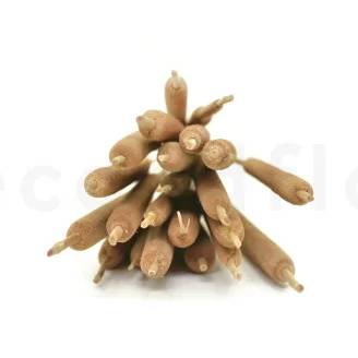 Enea seca fina Natural (x25)