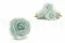 Rosa stabilizzata XL Verde Menta (x6) 8