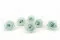 Konservierte Rose XL Mintgr&uuml;n (x6) 5