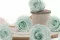 Preserved Rose XL Minty Green (x6) 2