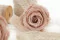Preserved Rose XL Antique Pink (x6) 5