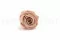 Rose stabilis&eacute;e XL Antique Pink (x6) 7