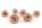 Rosa preservada XL Antique Pink (x6) 9