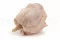 Rose stabilis&eacute;e XL Antique Pink (x6) 10