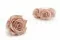 Preserved Rose XL Antique Pink (x6) 11