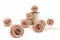Rosa preservada L Antique Pink (x8) 7