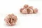 Rosa stabilizzata L Antique Pink (x8) 1
