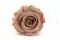 Preserved Rose L Antique Pink (x8) 9