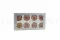 Rosa stabilizzata L Antique Pink (x8) 11